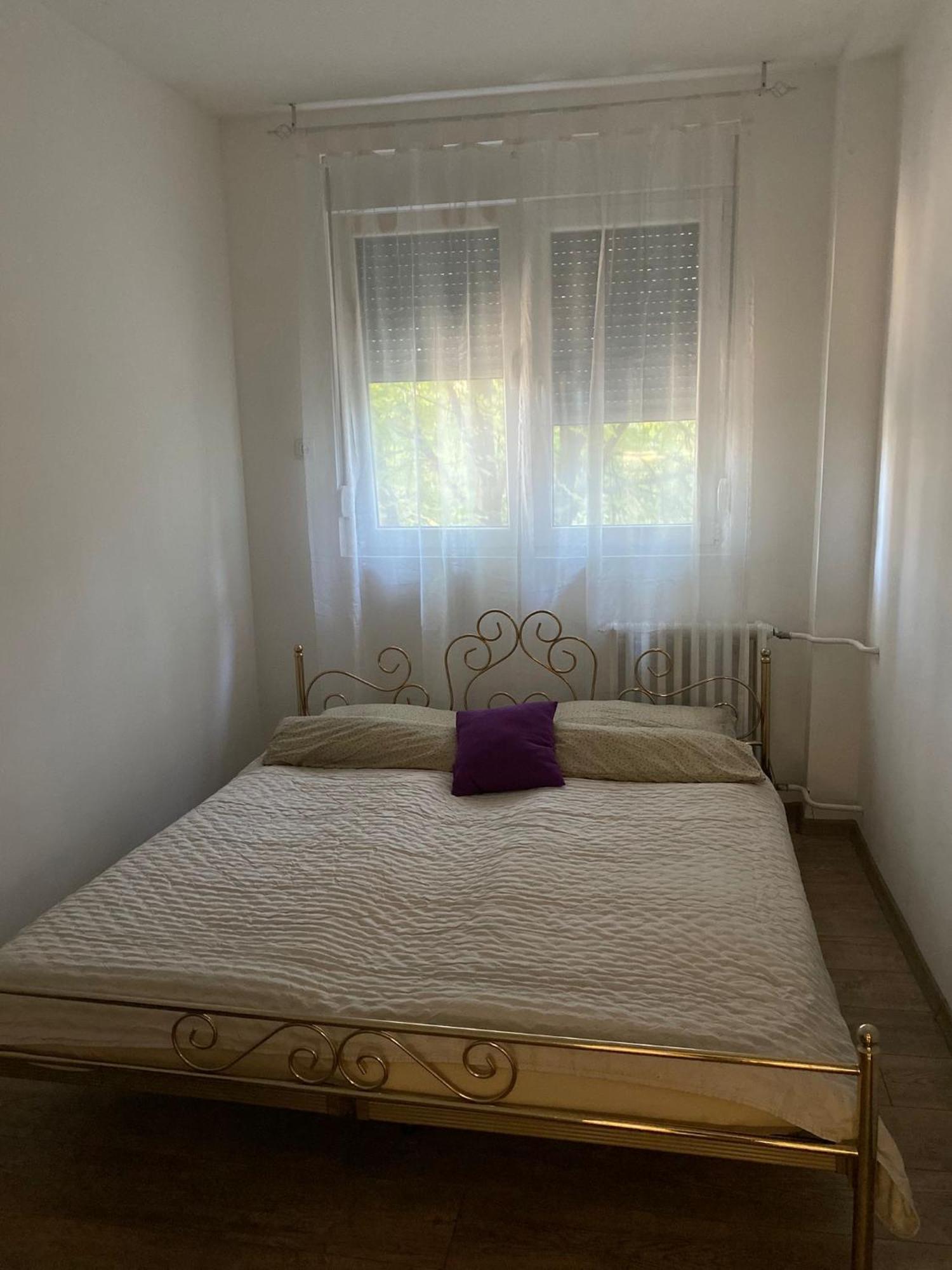Vanja Apartman Vrsac Exterior foto