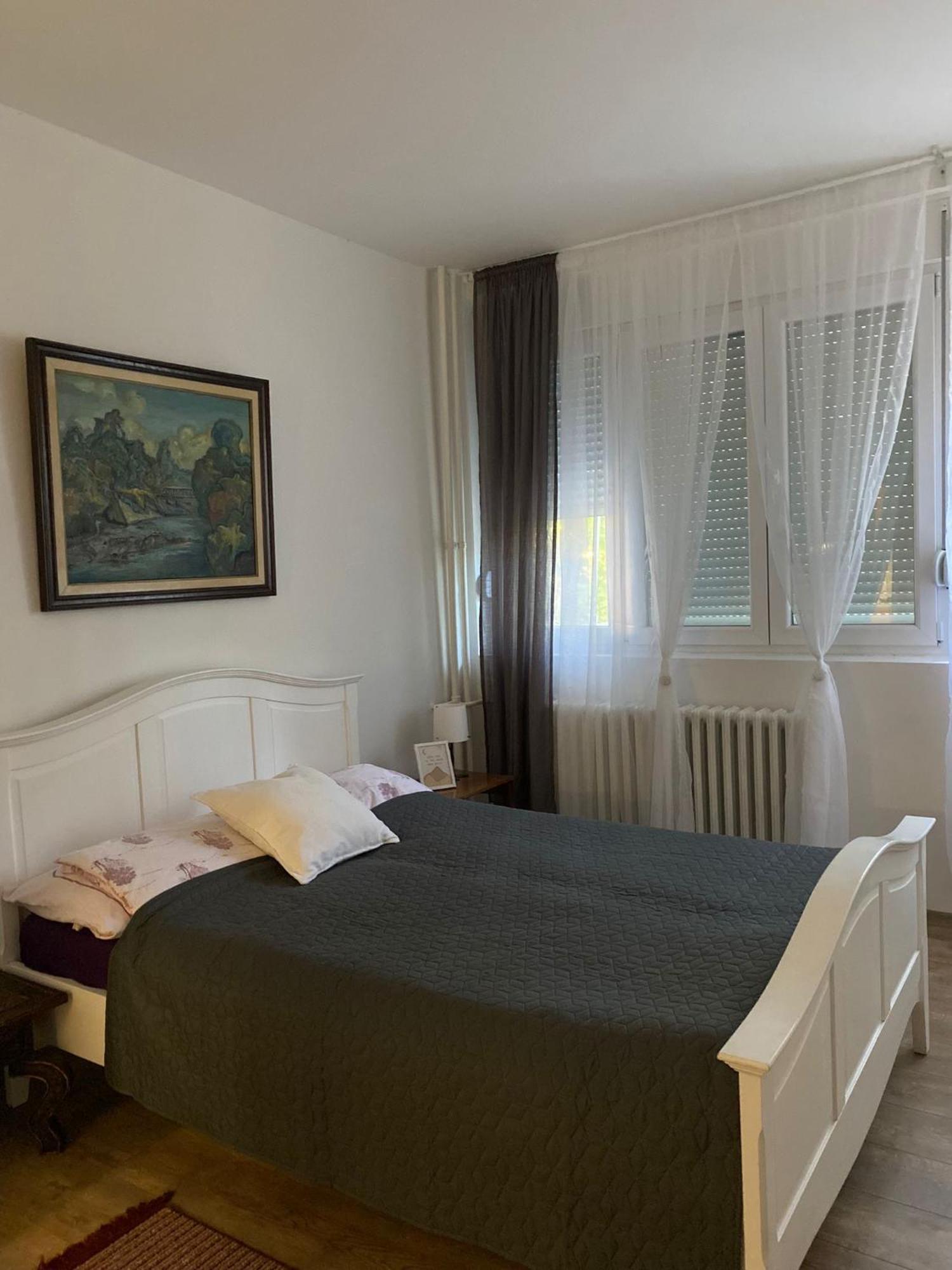 Vanja Apartman Vrsac Exterior foto