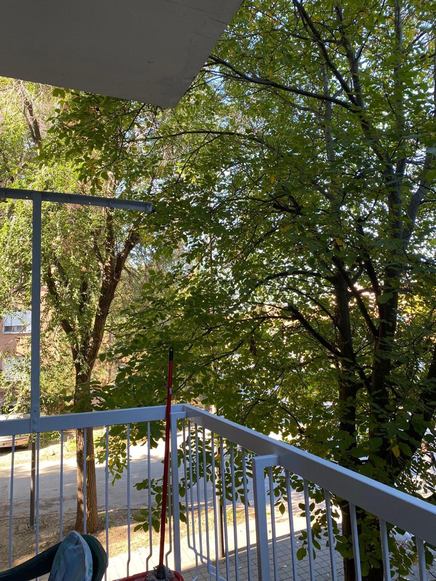 Vanja Apartman Vrsac Exterior foto